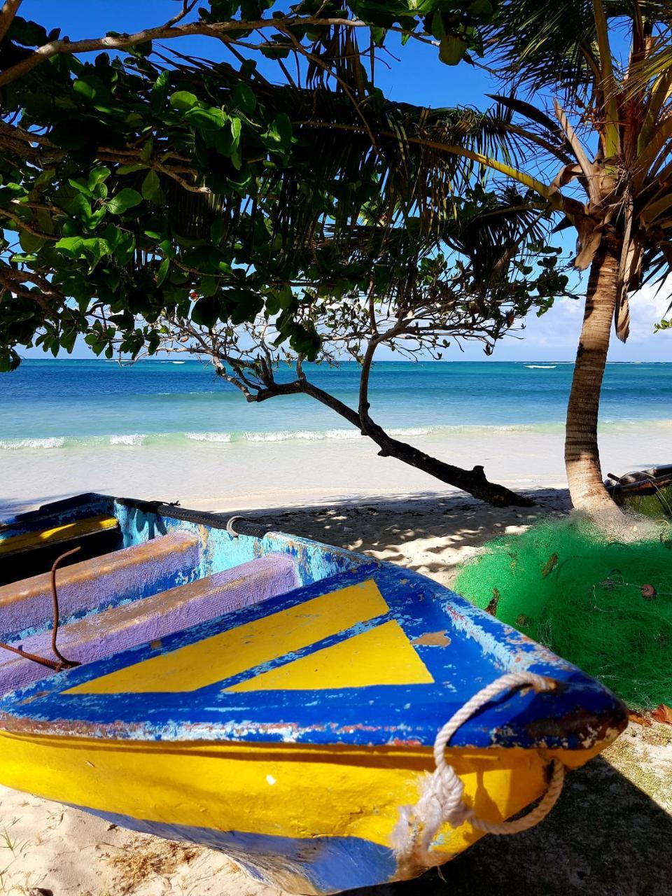 Solazul Bed and Breakfast Las Galeras Exteriör bild